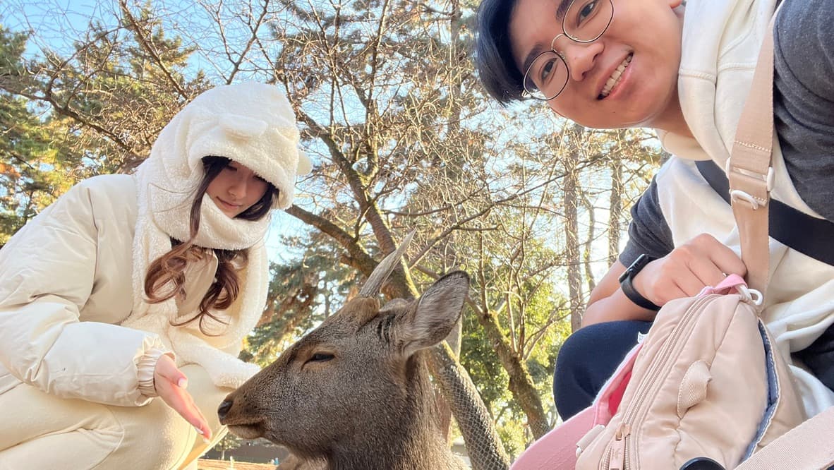 Photo: Deer time